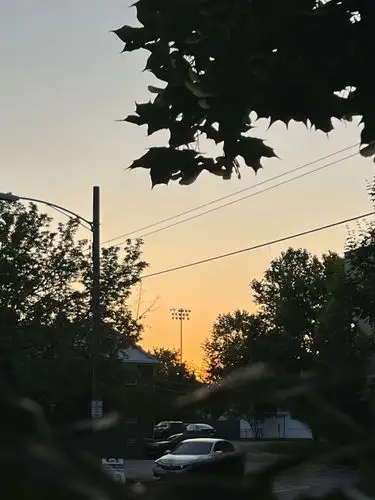 Golden hour glow over a quiet street.
